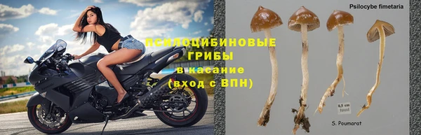 эйфоретик Ладушкин