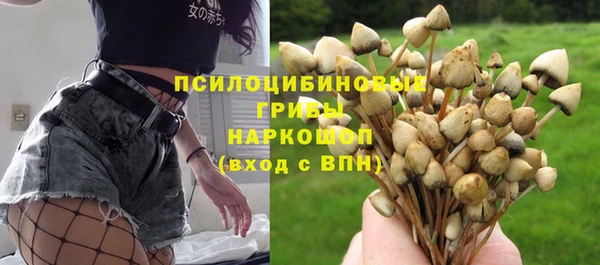 эйфоретик Ладушкин