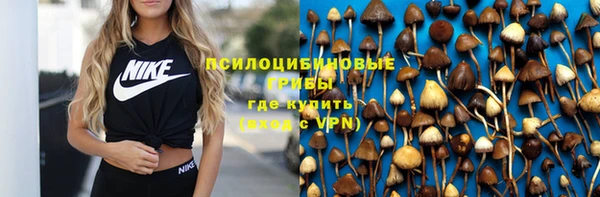 эйфоретик Ладушкин